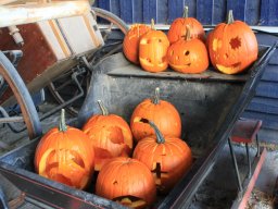 img_0091_web